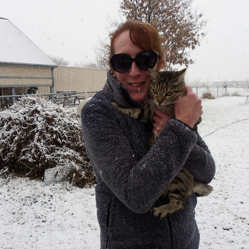 Like Our New Game - Picture 4 of 7